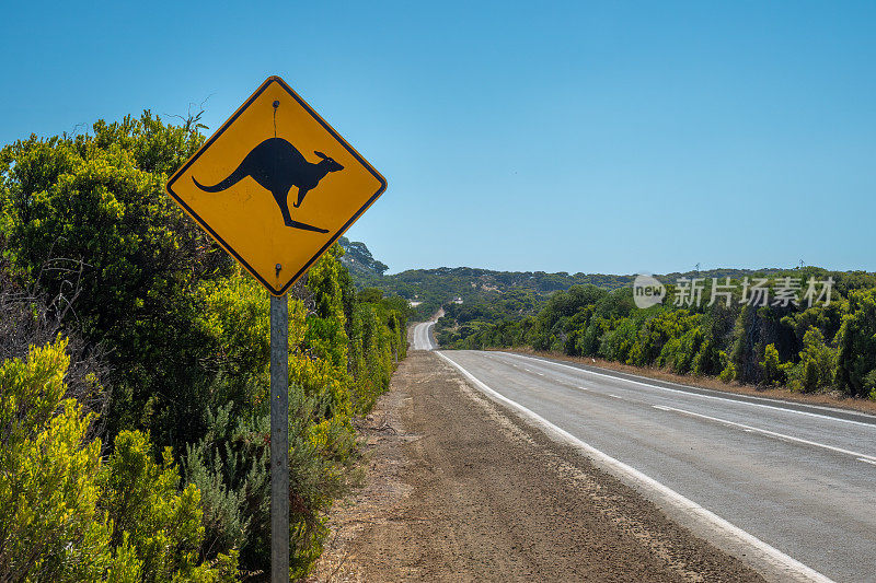 Road sign on Kangaroo Island warning about kangaroos and wallabies on the road, South Australia. The roads are indeed and alas littered with decomposing marsuÃ¼pial carcasses